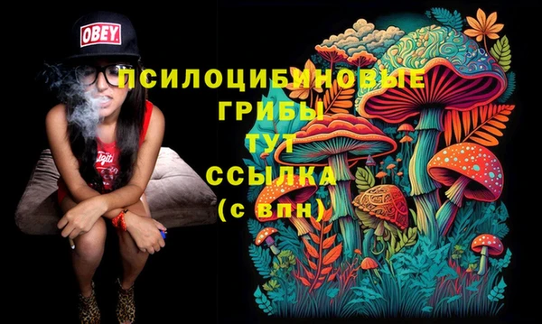 метадон Алексеевка