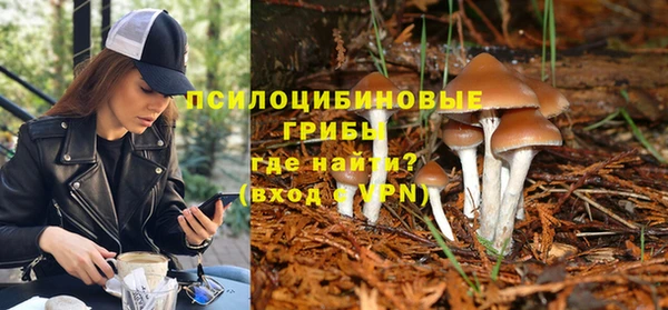 твердый Алзамай