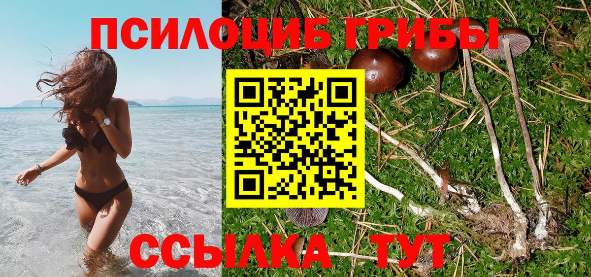 Псилоцибиновые грибы Psilocybe  Вход с VPN  Заинск 
